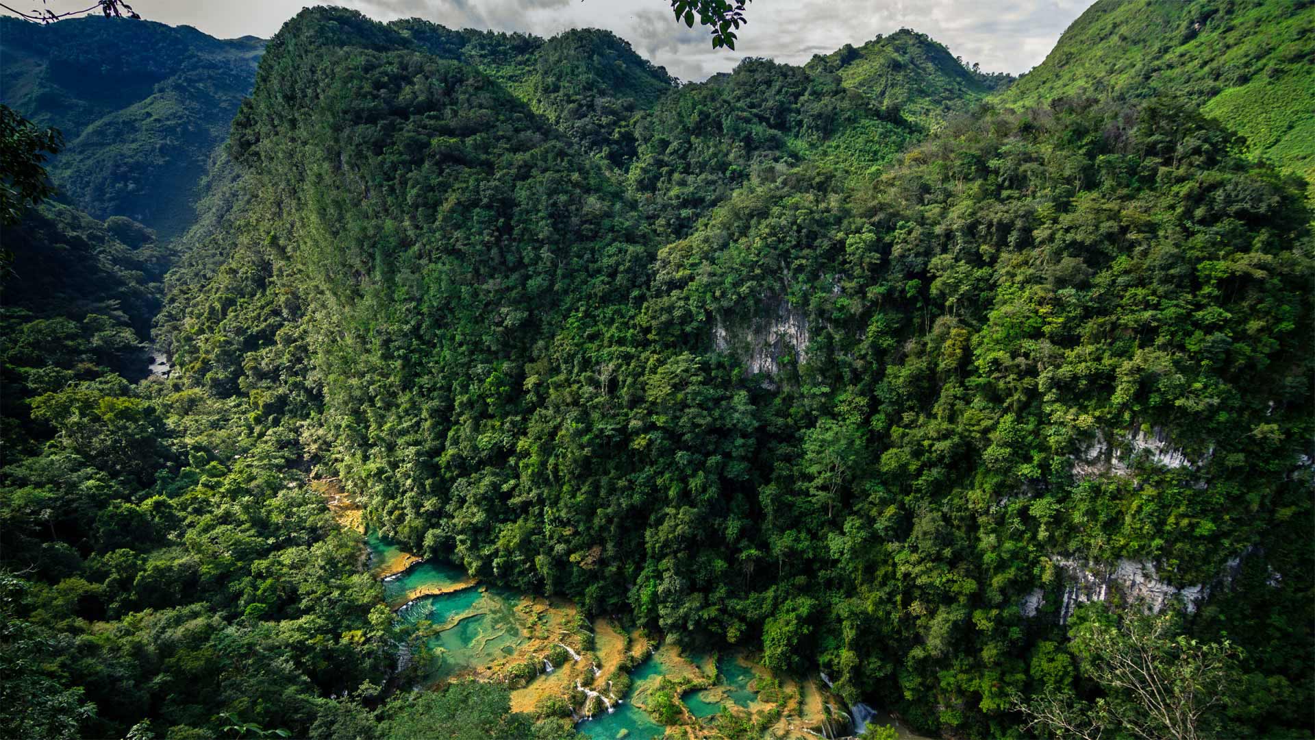 网红商城